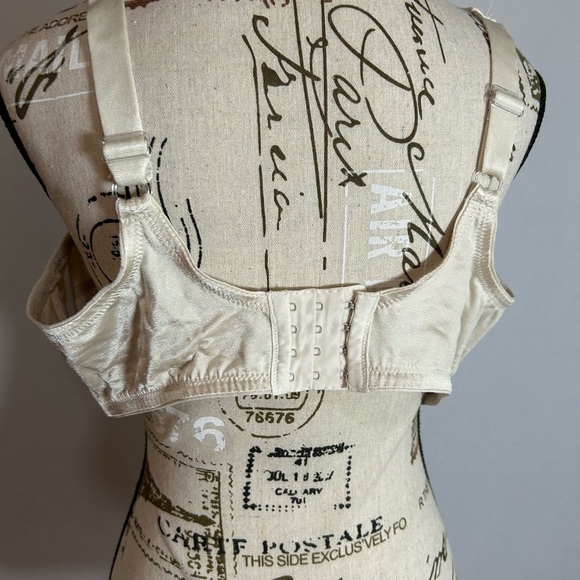 Elegant Cream Lace Bra - Picture 3 of 4